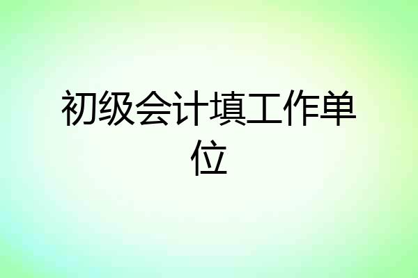 初级会计填工作单位