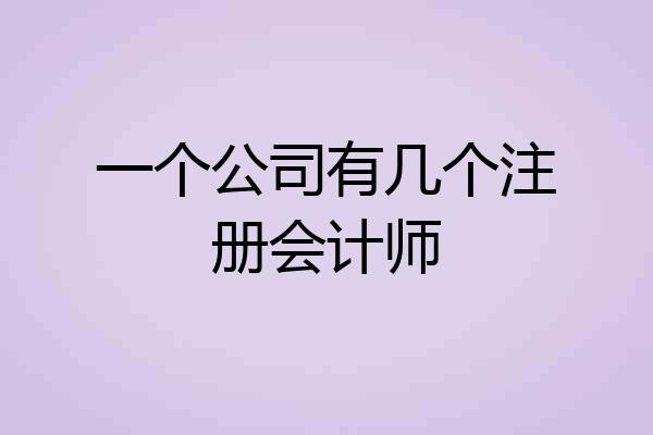 一个公司有几个注册会计师