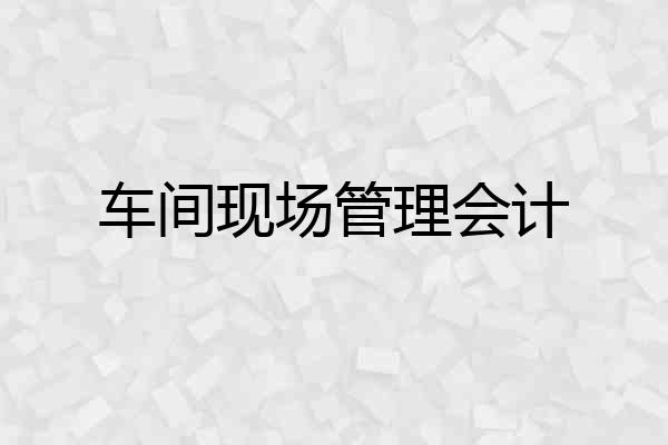 车间现场管理会计