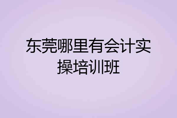 东莞哪里有会计实操培训班