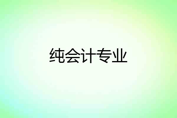 纯会计专业
