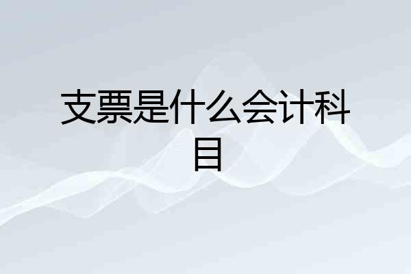 支票是什么会计科目