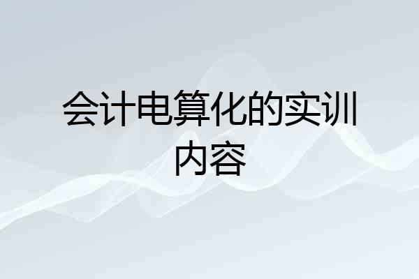 会计电算化的实训内容
