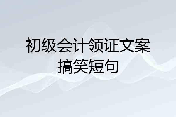 初级会计领证文案搞笑短句