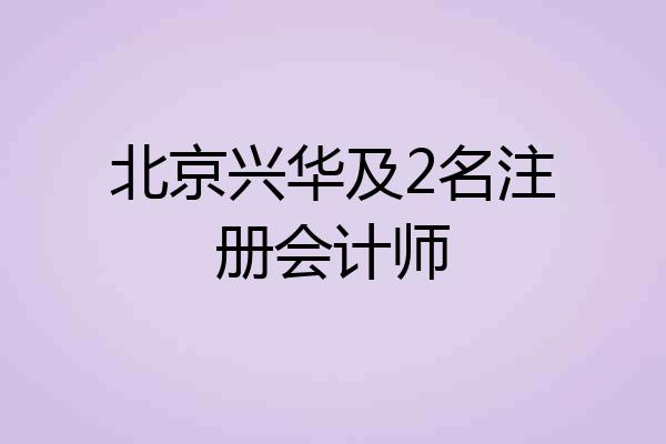 北京兴华及2名注册会计师