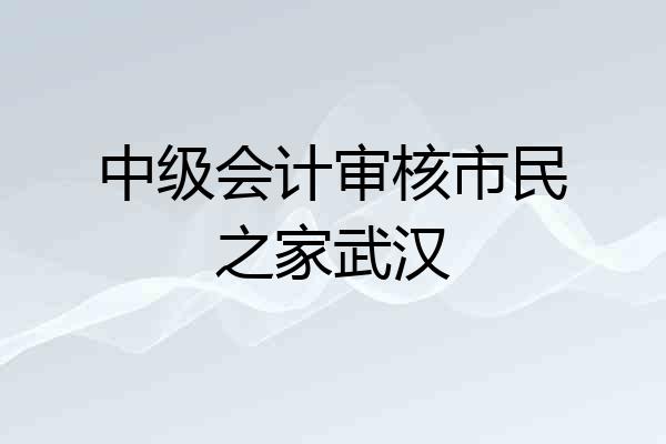 中级会计审核市民之家武汉