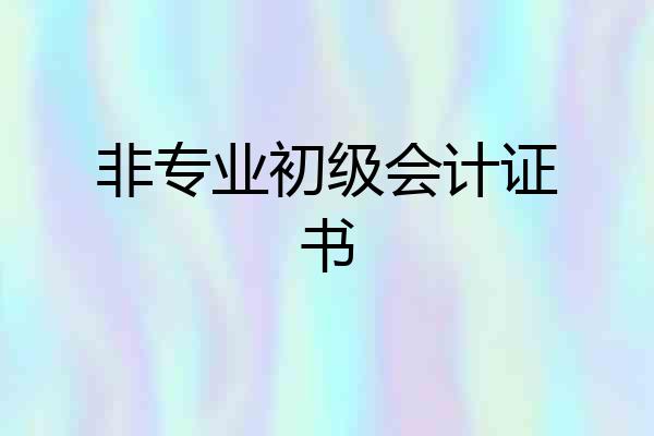 非专业初级会计证书