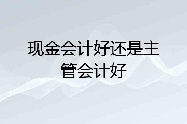 现金会计好还是主管会计好