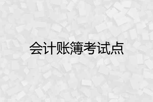 会计账簿考试点