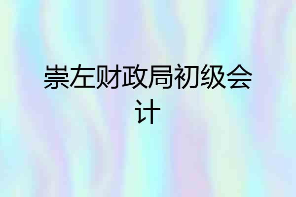 崇左财政局初级会计