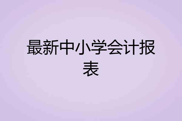 最新中小学会计报表
