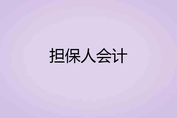 担保人会计