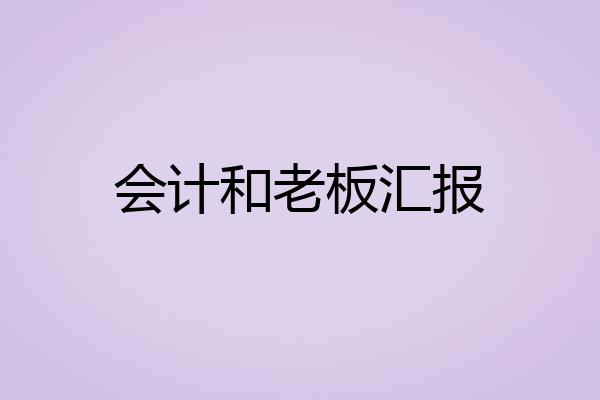 会计和老板汇报