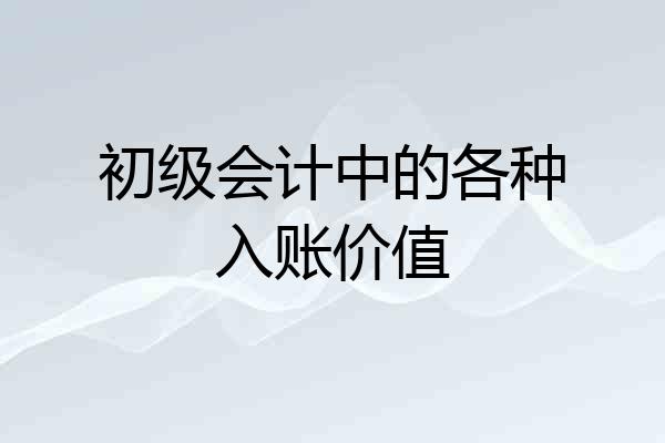初级会计中的各种入账价值