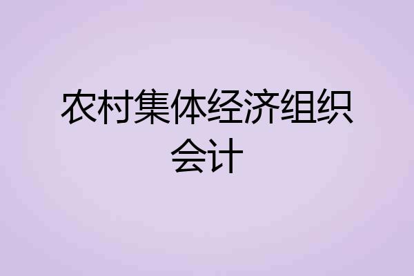 农村集体经济组织会计