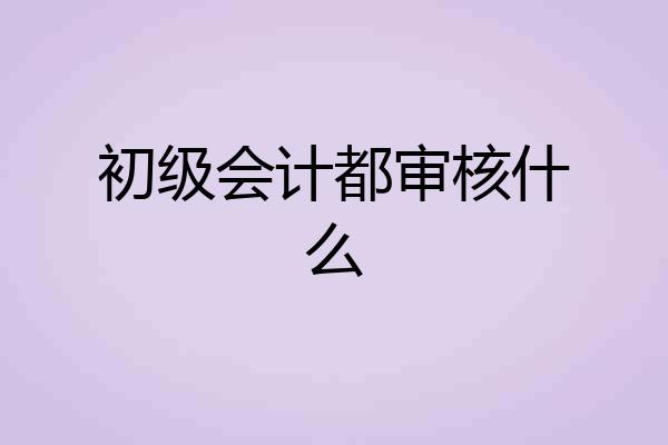 初级会计都审核什么