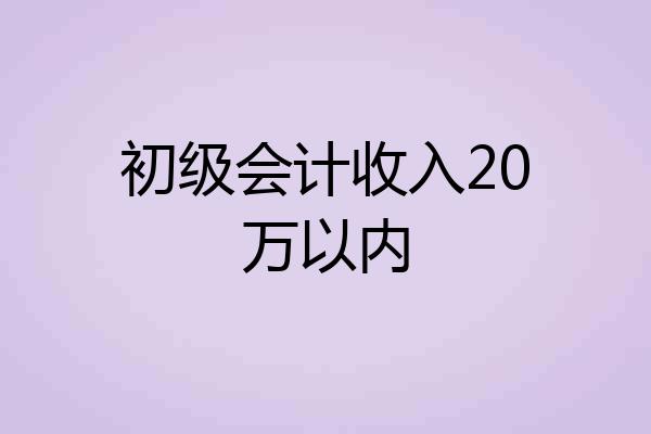 初级会计收入20万以内