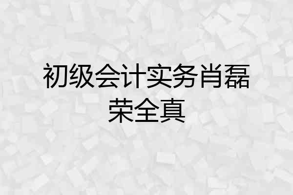 初级会计实务肖磊荣全真