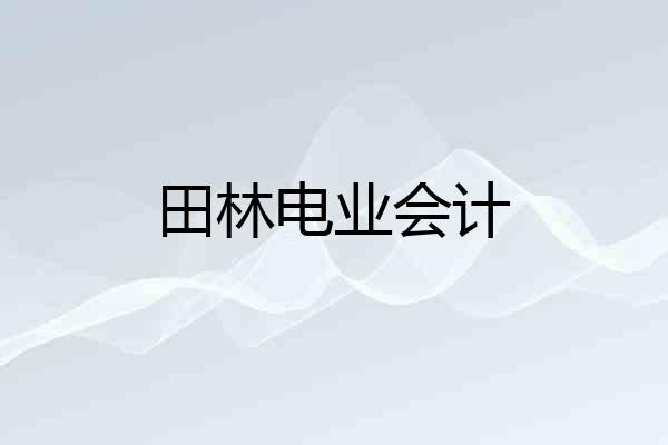 田林电业会计