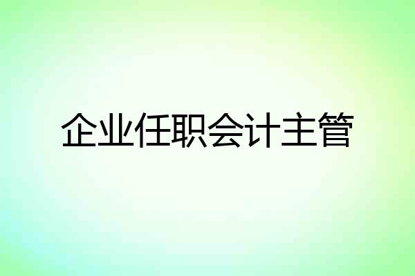 企业任职会计主管
