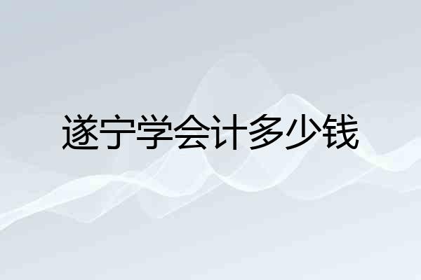 遂宁学会计多少钱
