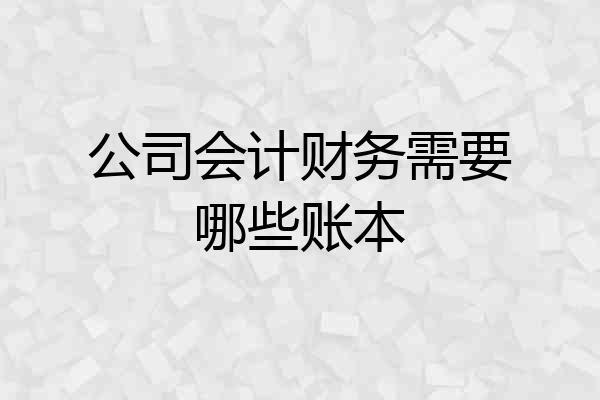 公司会计财务需要哪些账本