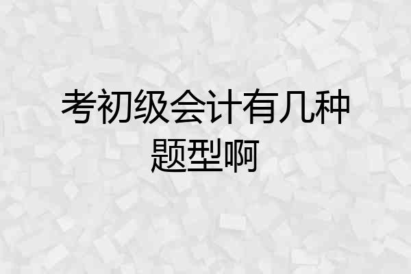 考初级会计有几种题型啊