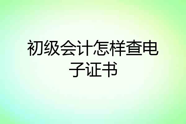 初级会计怎样查电子证书