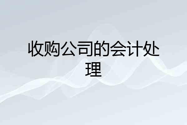 收购公司的会计处理