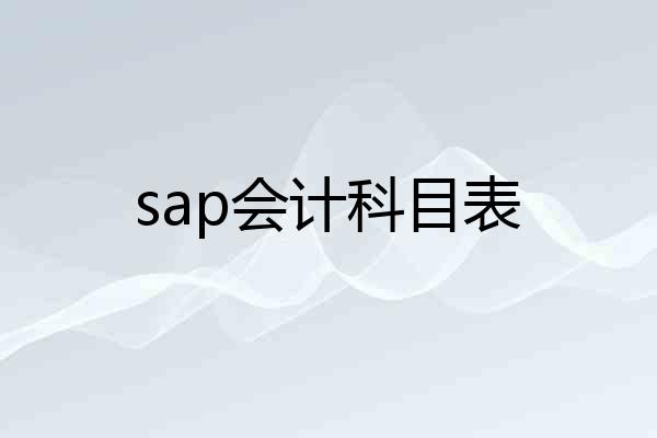 sap会计科目表