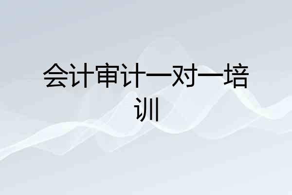 会计审计一对一培训