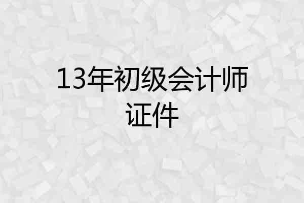 13年初级会计师证件