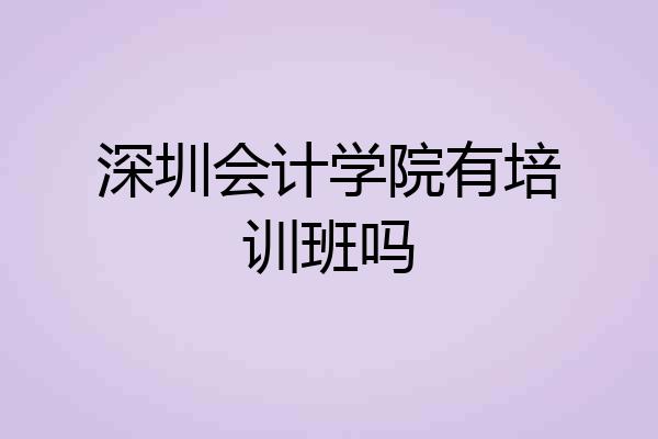 深圳会计学院有培训班吗