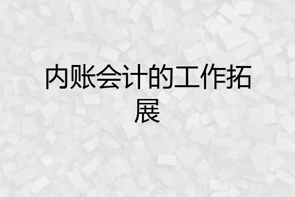 内账会计的工作拓展