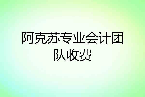 阿克苏专业会计团队收费