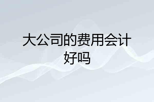 大公司的费用会计好吗