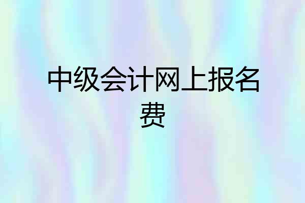 中级会计网上报名费