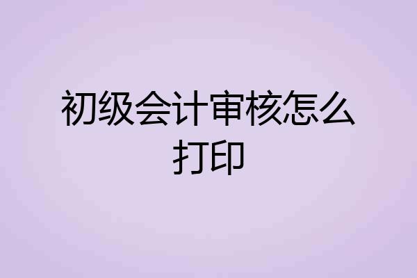 初级会计审核怎么打印