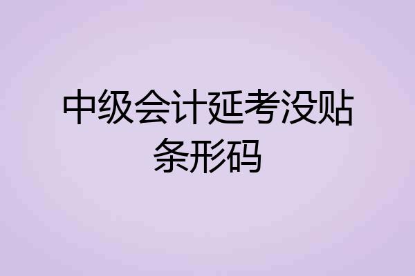 中级会计延考没贴条形码