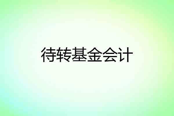 待转基金会计