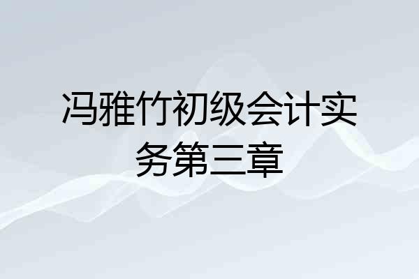 冯雅竹初级会计实务第三章