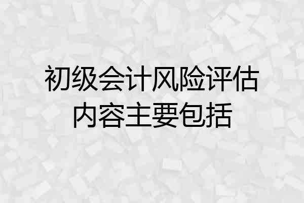 初级会计风险评估内容主要包括