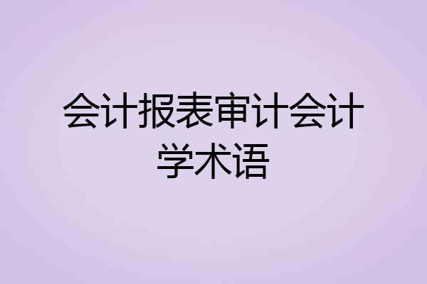 会计报表审计会计学术语