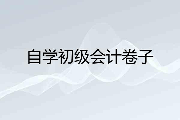 自学初级会计卷子