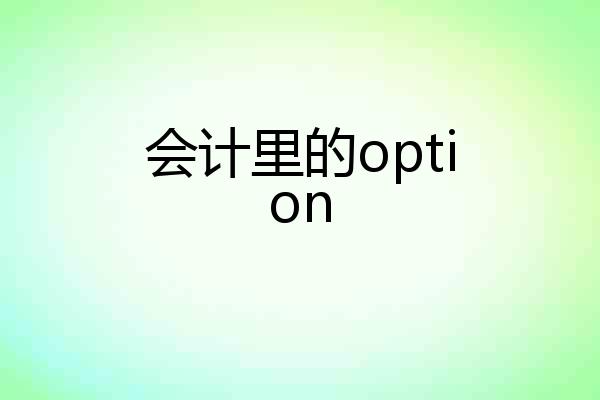会计里的option