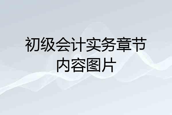 初级会计实务章节内容图片