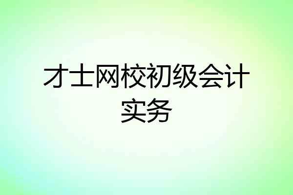 才士网校初级会计实务