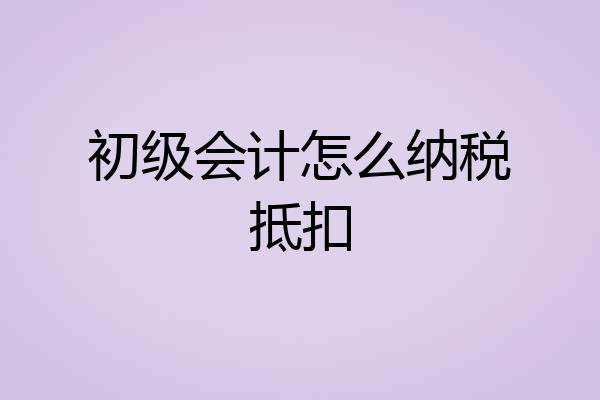 初级会计怎么纳税抵扣