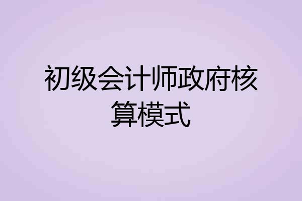 初级会计师政府核算模式