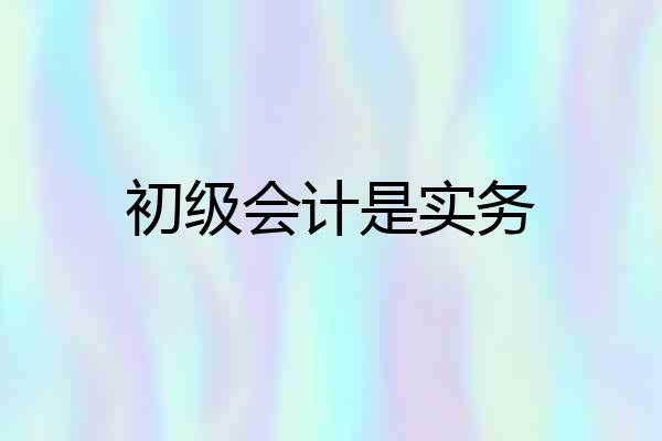 初级会计是实务